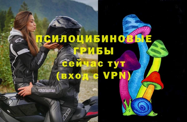 Альфа ПВП Абаза