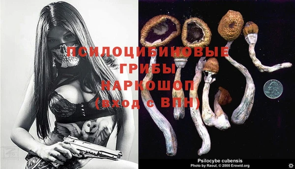 ECSTASY Алексин