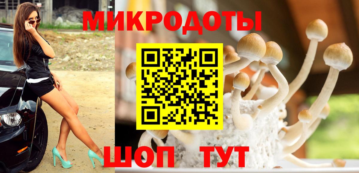 Галлюциногенные грибы MAGIC MUSHROOMS Уварово